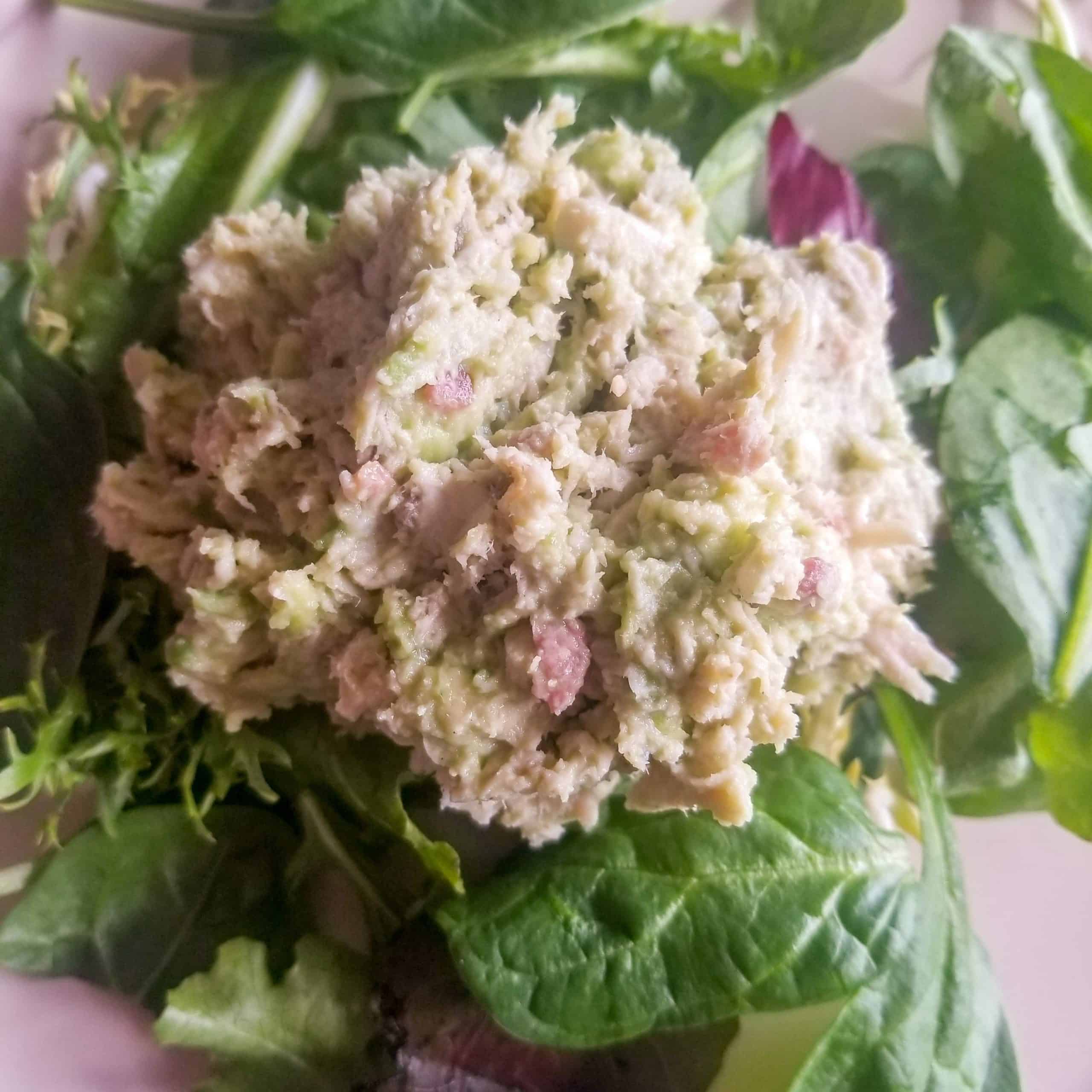 Avocado Chicken Salad with Bacon