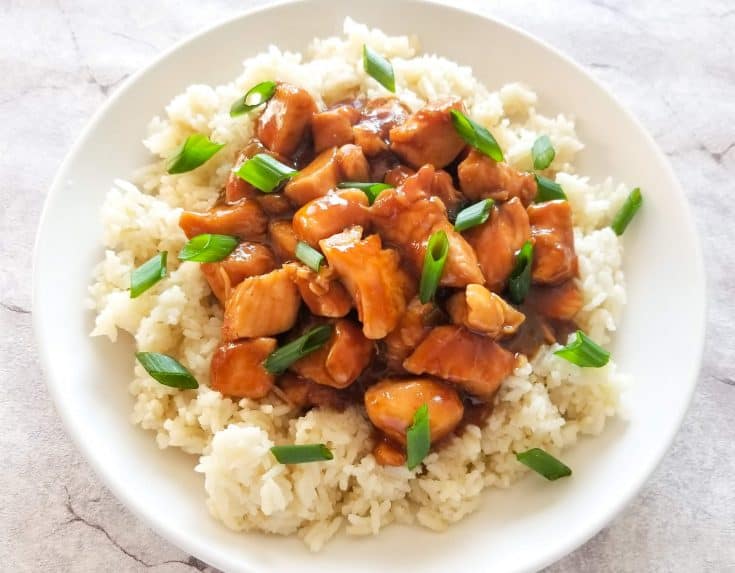 Instant Pot Honey Garlic Chicken