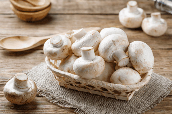 Mushroom Dinner Recipes Mushroom Dinner Recipes