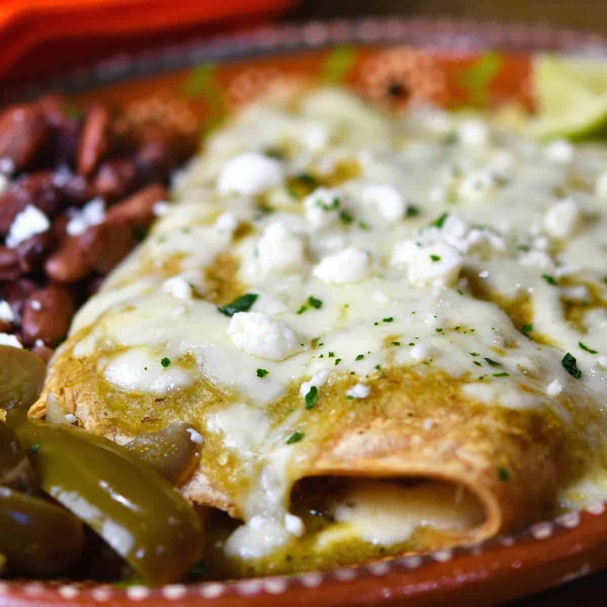 Image for Spinach and Mushrooms Vegetable Enchiladas