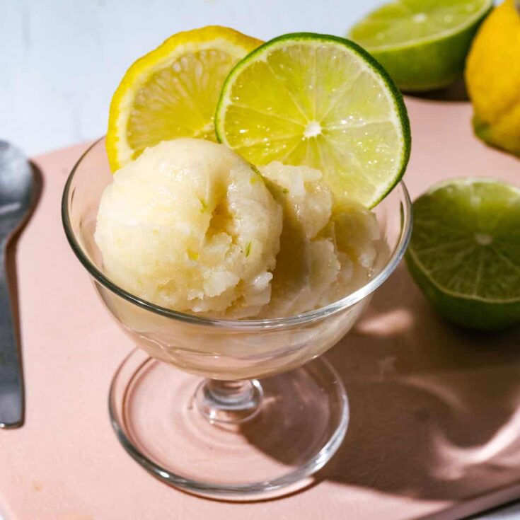 Image for Homemade Lemon Lime Sorbet